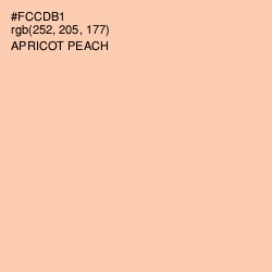 #FCCDB1 - Apricot Peach Color Image